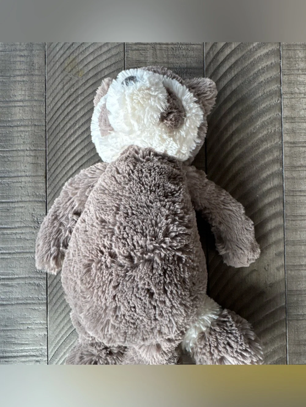Jellycat Bashful Raccoon 12” Plush Toy